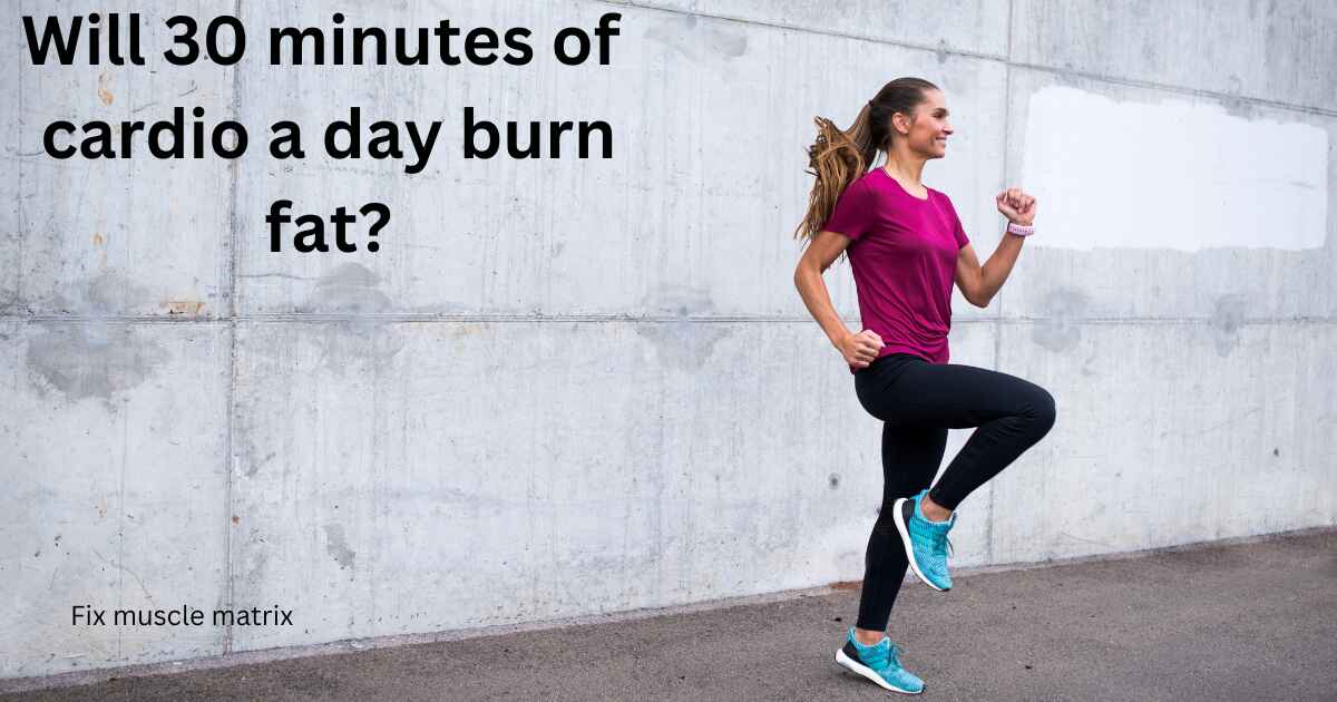 Will 30 minutes of cardio a day burn fat?